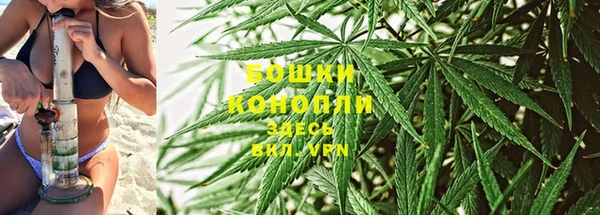 каннабис Аркадак