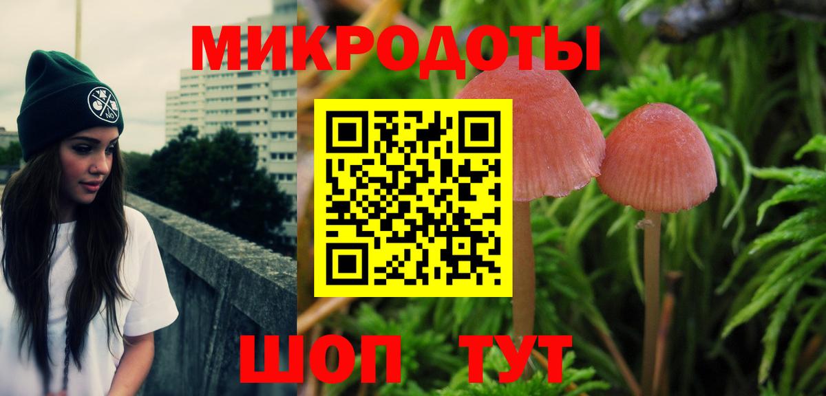Псилоцибиновые грибы Cubensis Кубинка